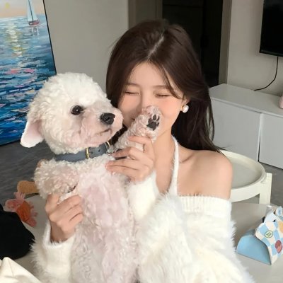 情网